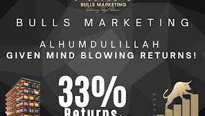 Bulls Marketing